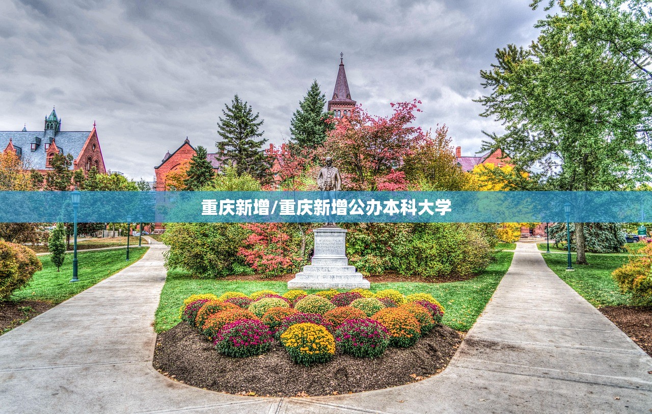 重庆新增/重庆新增公办本科大学