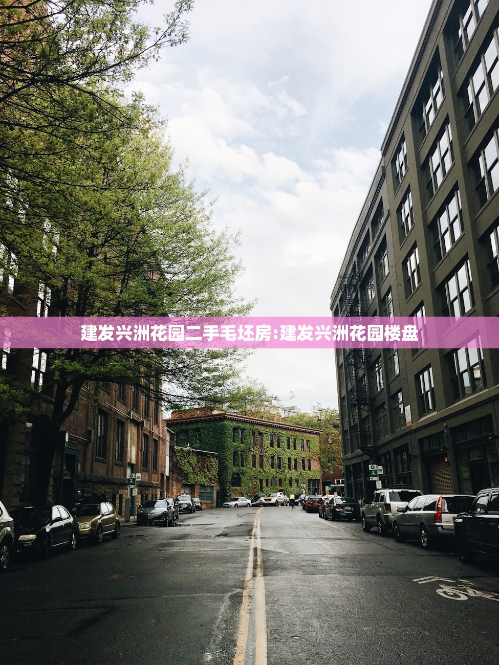 建发兴洲花园二手毛坯房:建发兴洲花园楼盘