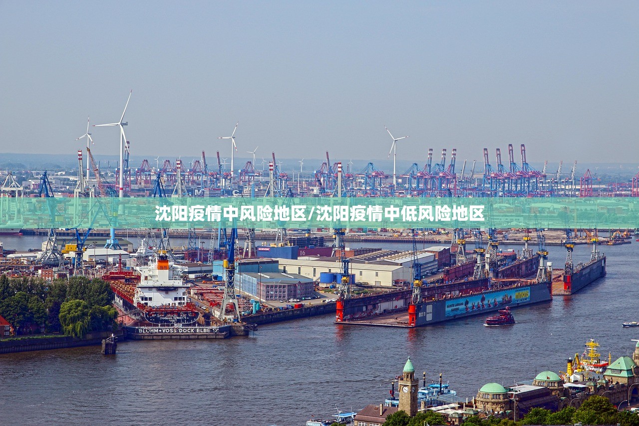 沈阳疫情中风险地区/沈阳疫情中低风险地区