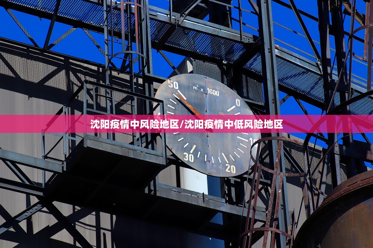 沈阳疫情中风险地区/沈阳疫情中低风险地区