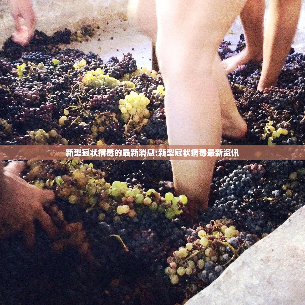新型冠状病毒的最新消息:新型冠状病毒最新资讯
