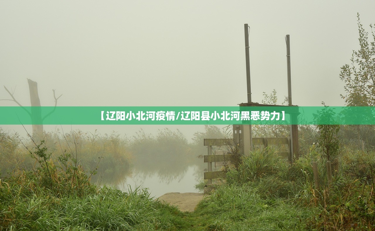 【辽阳小北河疫情/辽阳县小北河黑恶势力】