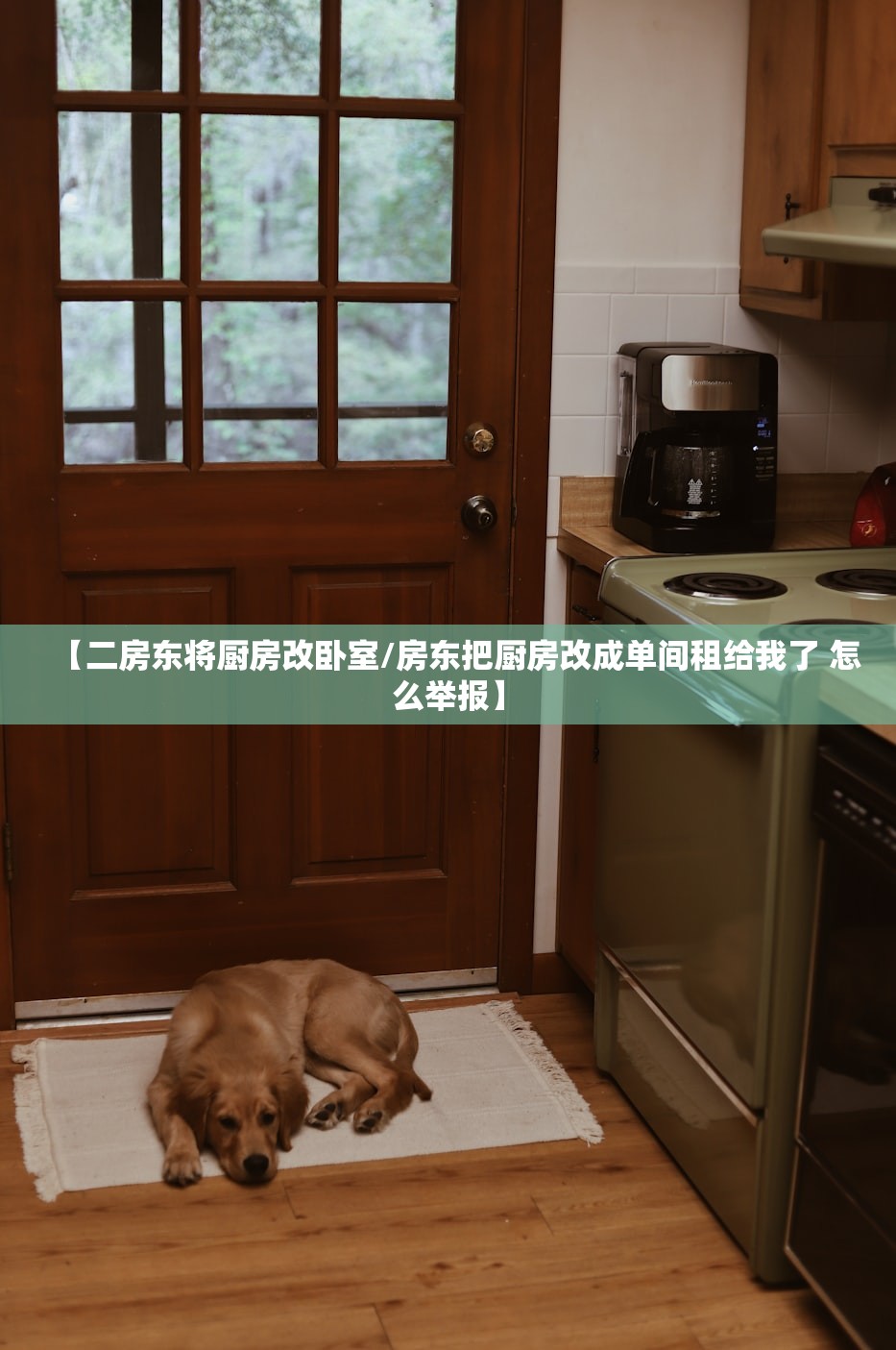 【二房东将厨房改卧室/房东把厨房改成单间租给我了 怎么举报】
