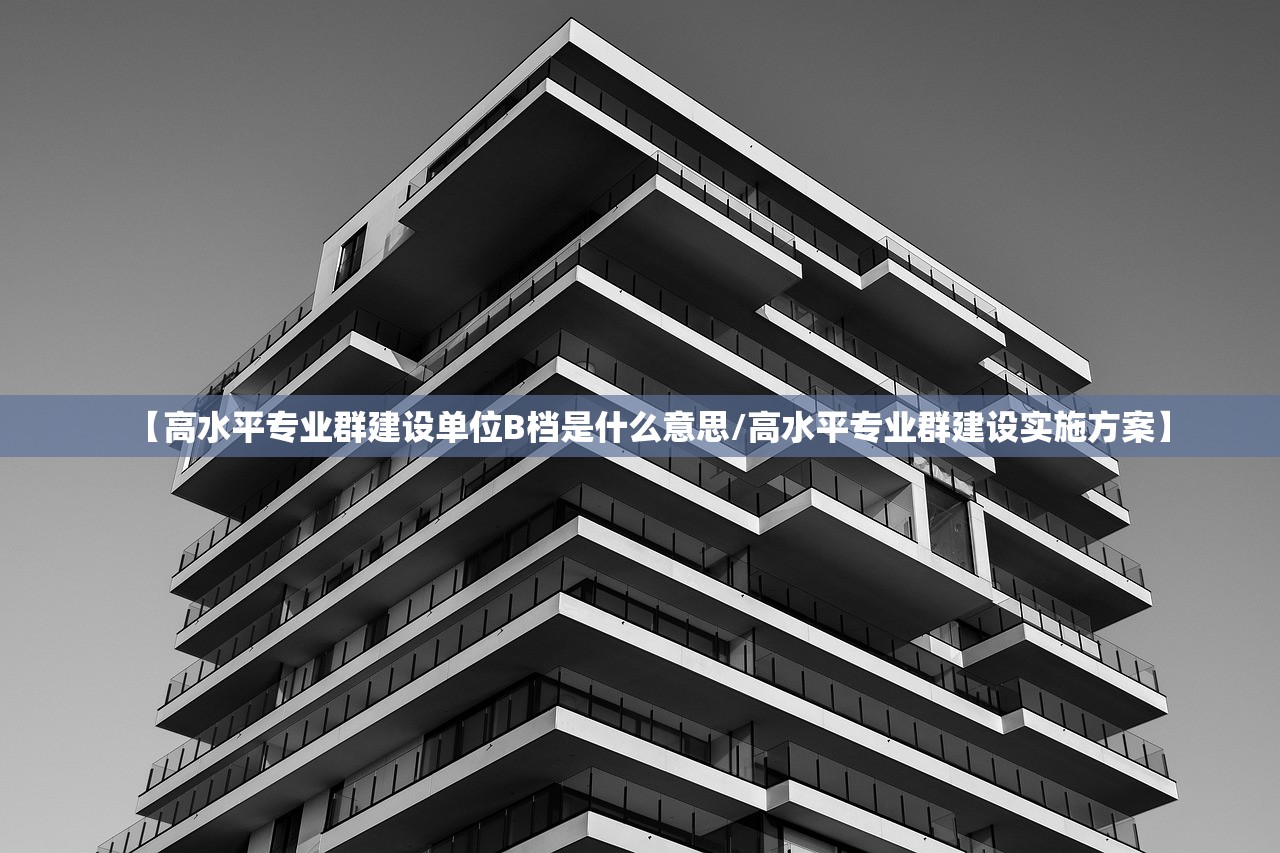 【高水平专业群建设单位B档是什么意思/高水平专业群建设实施方案】