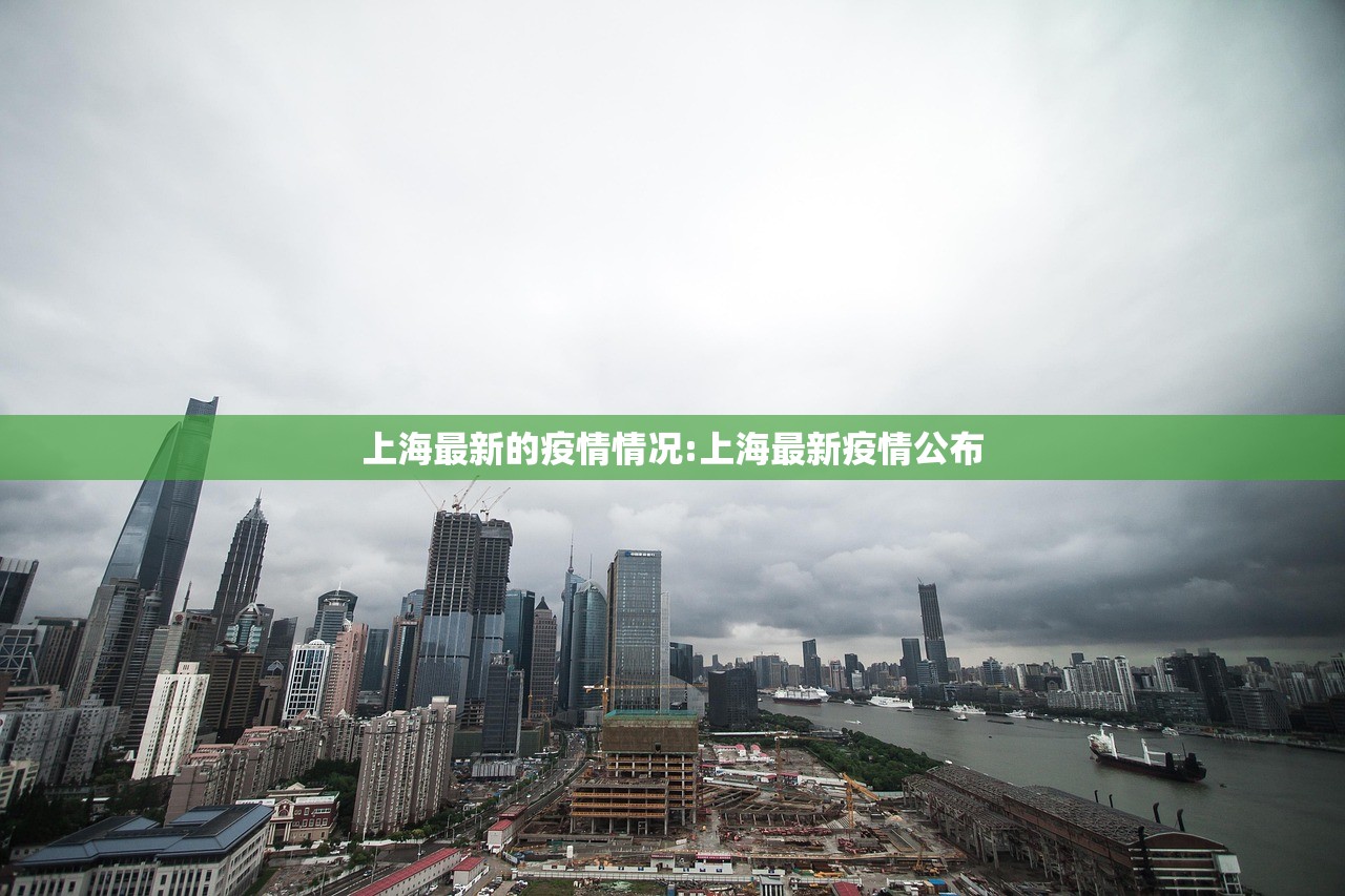 上海最新的疫情情况:上海最新疫情公布
