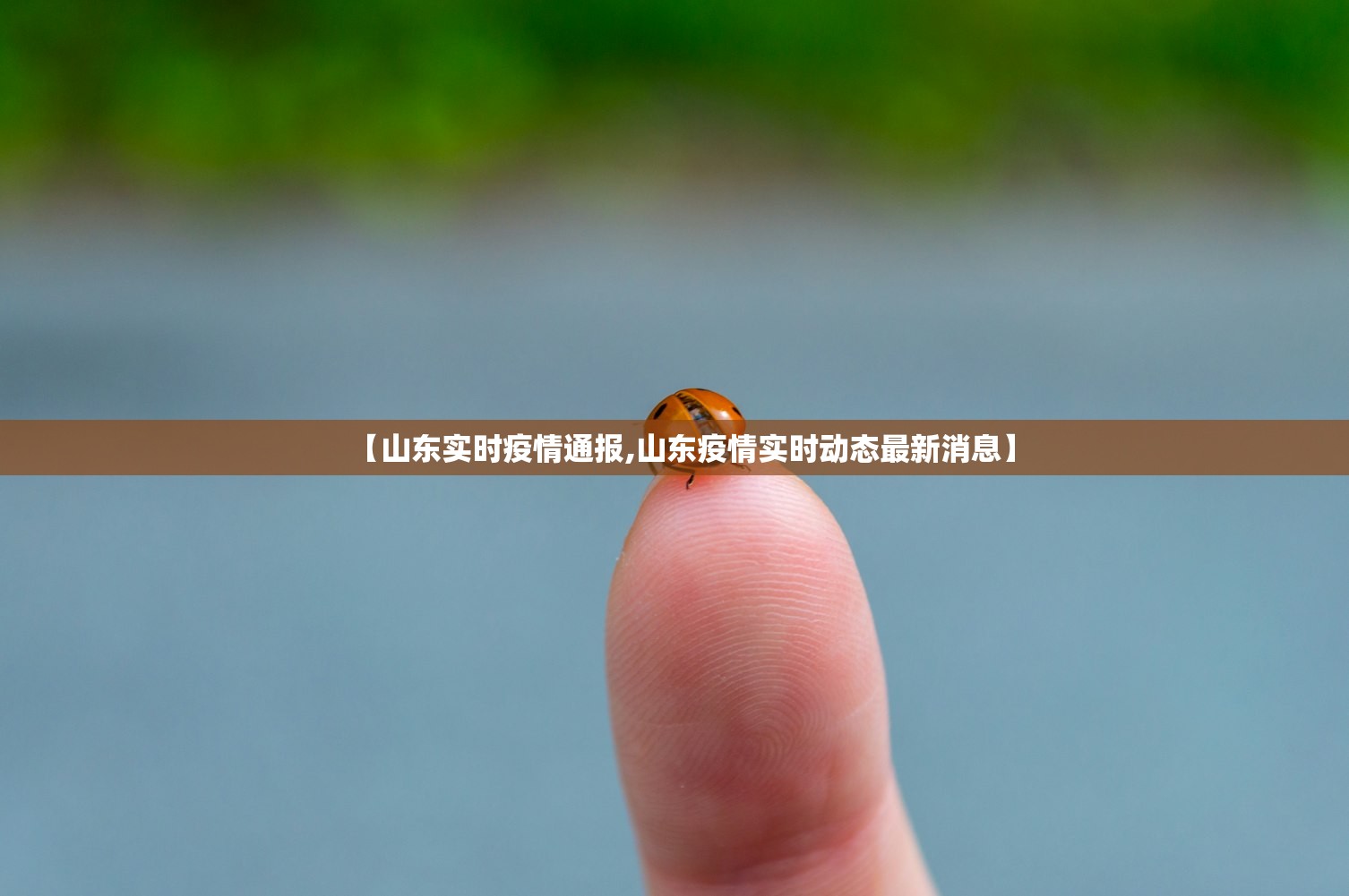 【山东实时疫情通报,山东疫情实时动态最新消息】