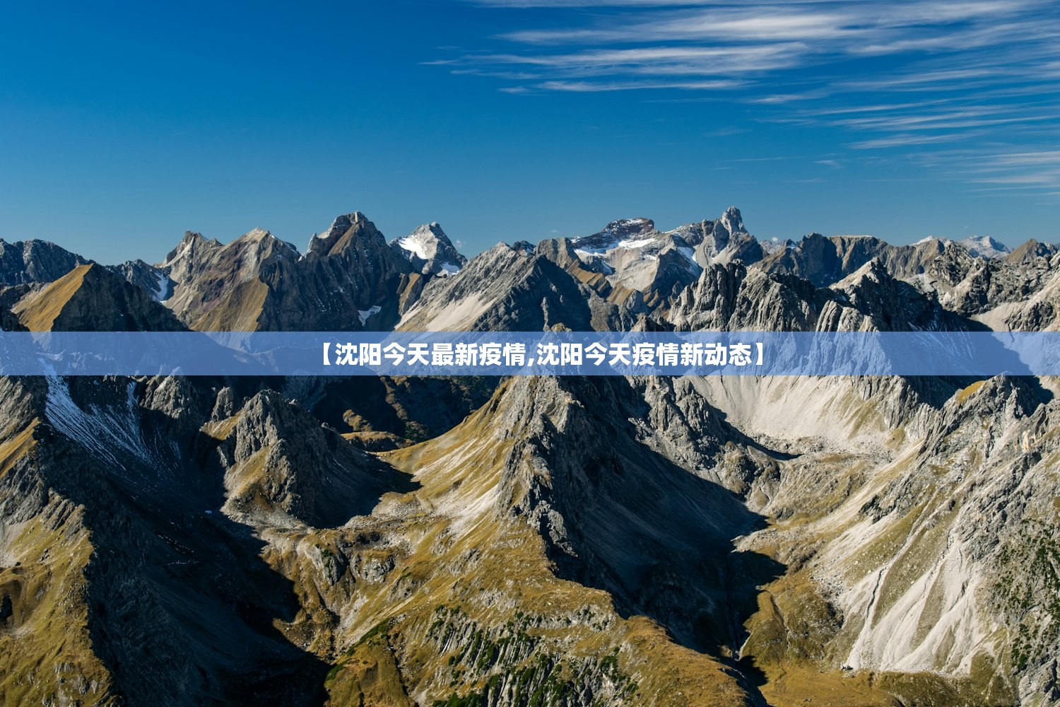 【沈阳今天最新疫情,沈阳今天疫情新动态】