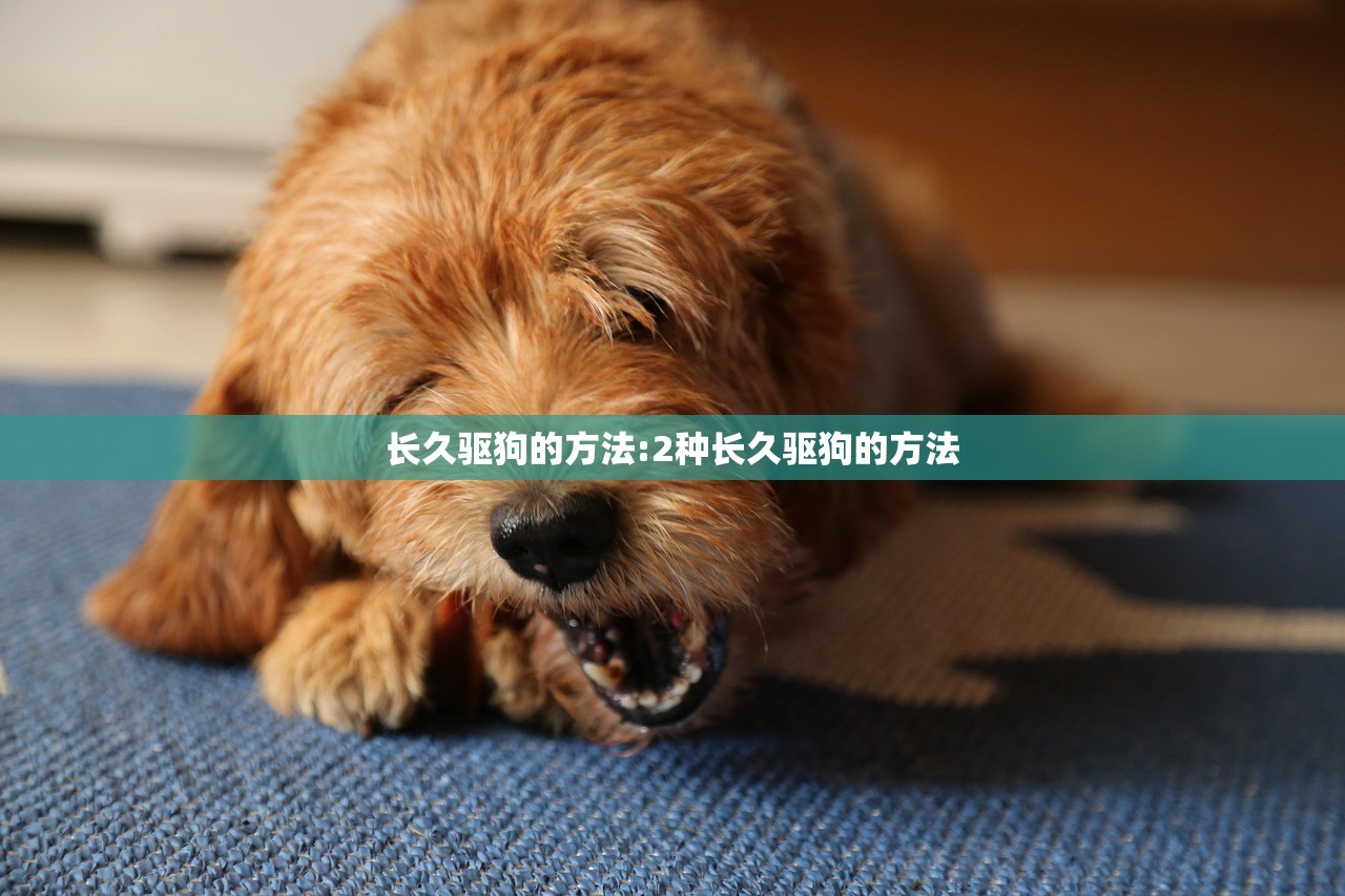 长久驱狗的方法:2种长久驱狗的方法