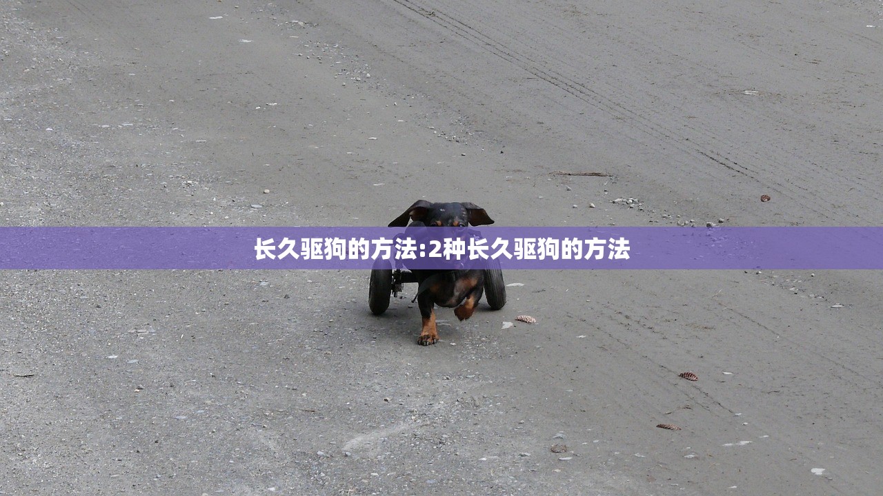 长久驱狗的方法:2种长久驱狗的方法