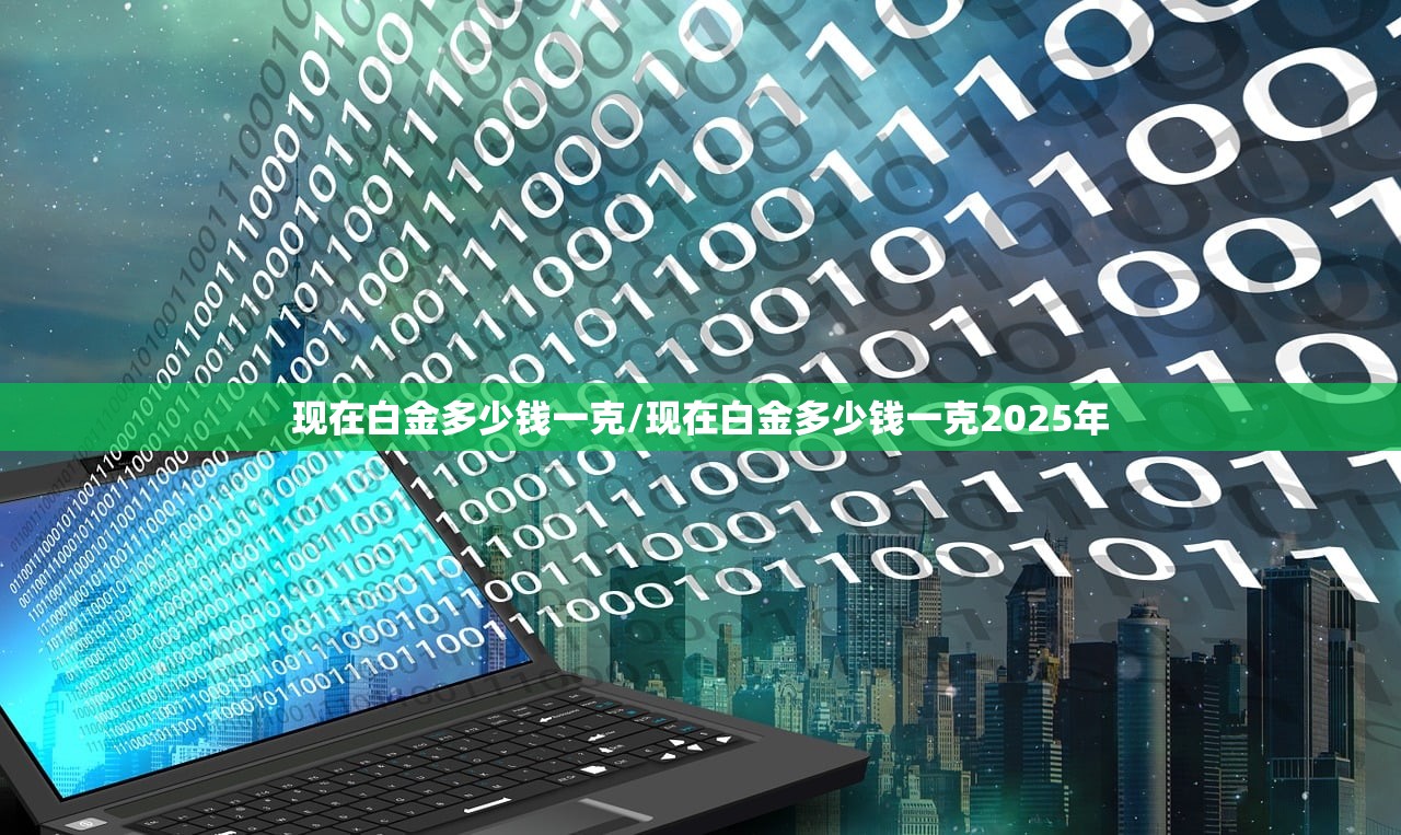 现在白金多少钱一克/现在白金多少钱一克2025年