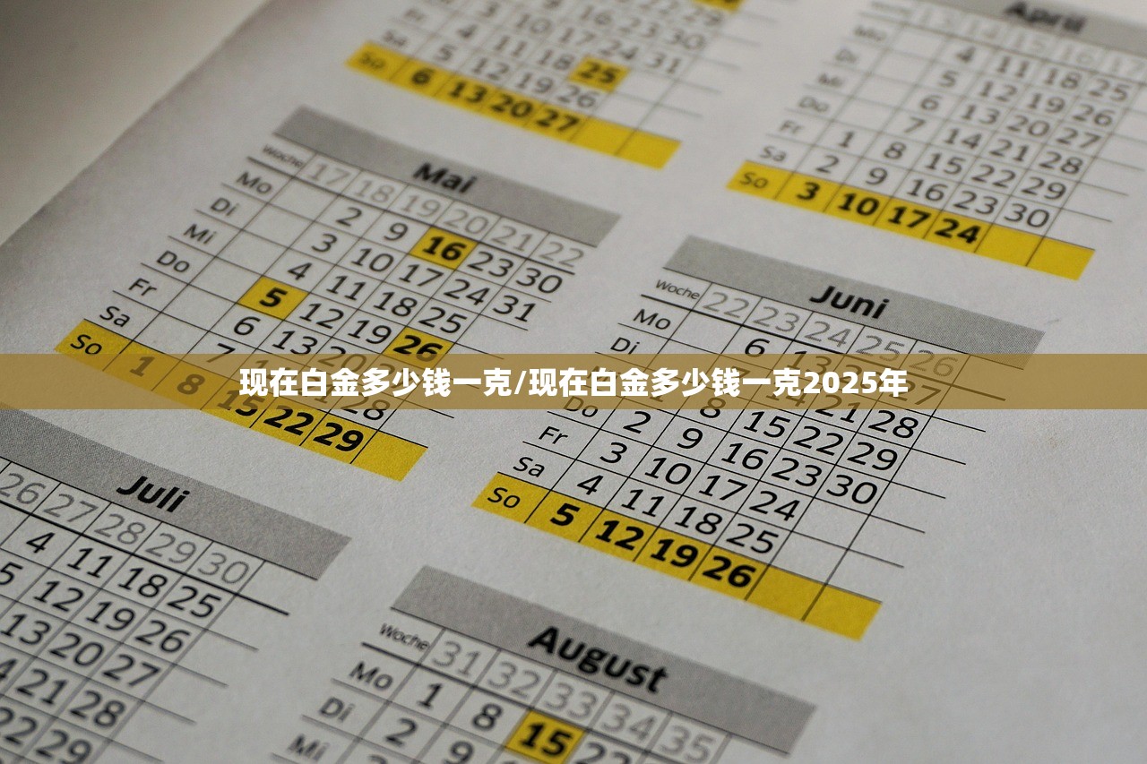 现在白金多少钱一克/现在白金多少钱一克2025年