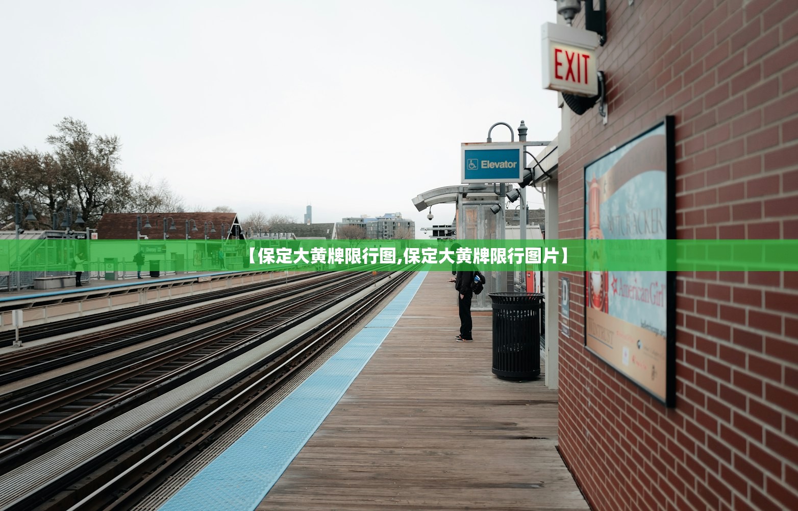 【保定大黄牌限行图,保定大黄牌限行图片】