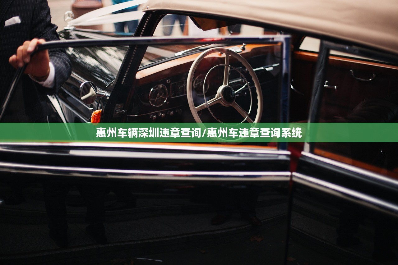 惠州车辆深圳违章查询/惠州车违章查询系统
