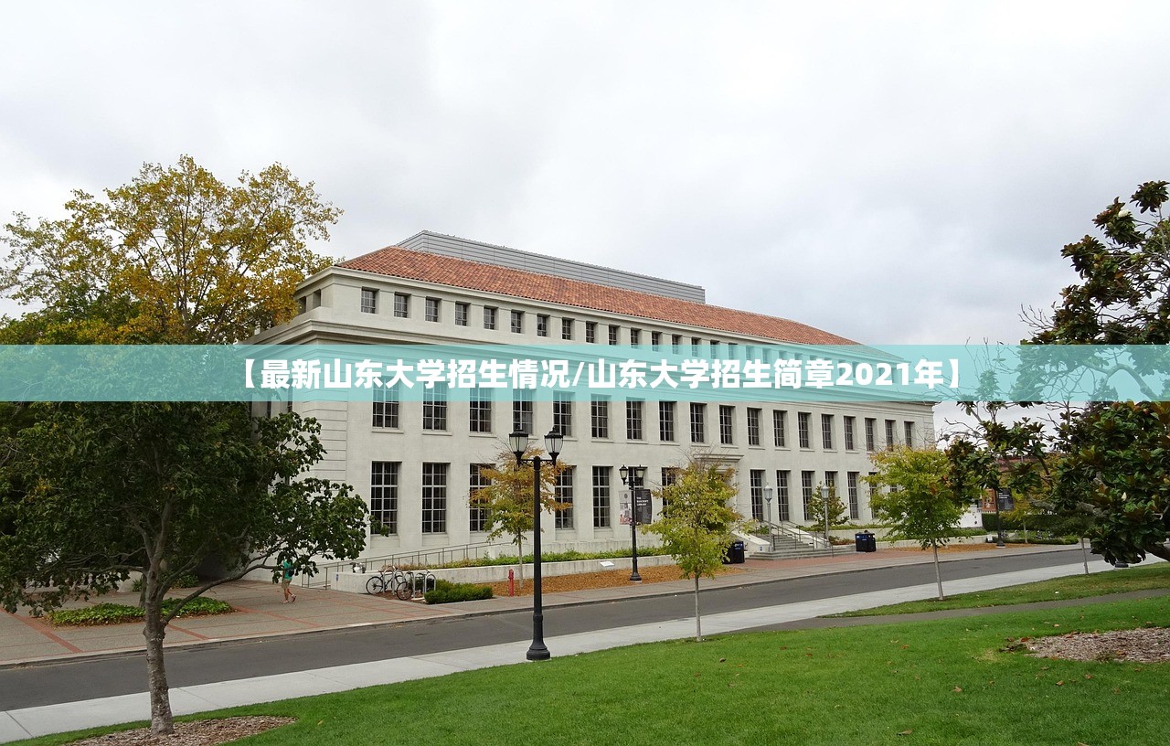 【最新山东大学招生情况/山东大学招生简章2021年】