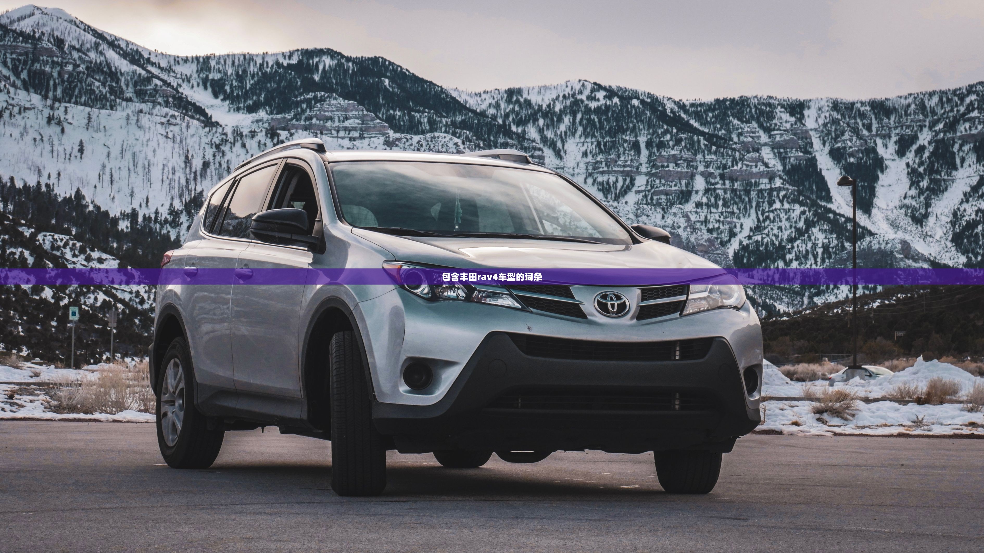包含丰田rav4车型的词条