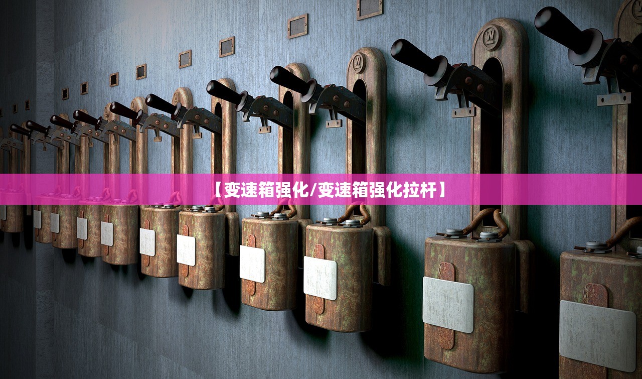 【变速箱强化/变速箱强化拉杆】