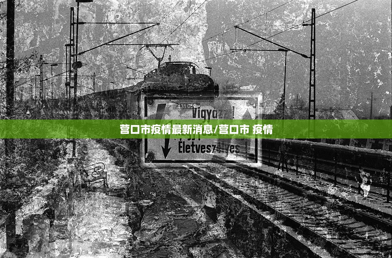 营口市疫情最新消息/营口市 疫情