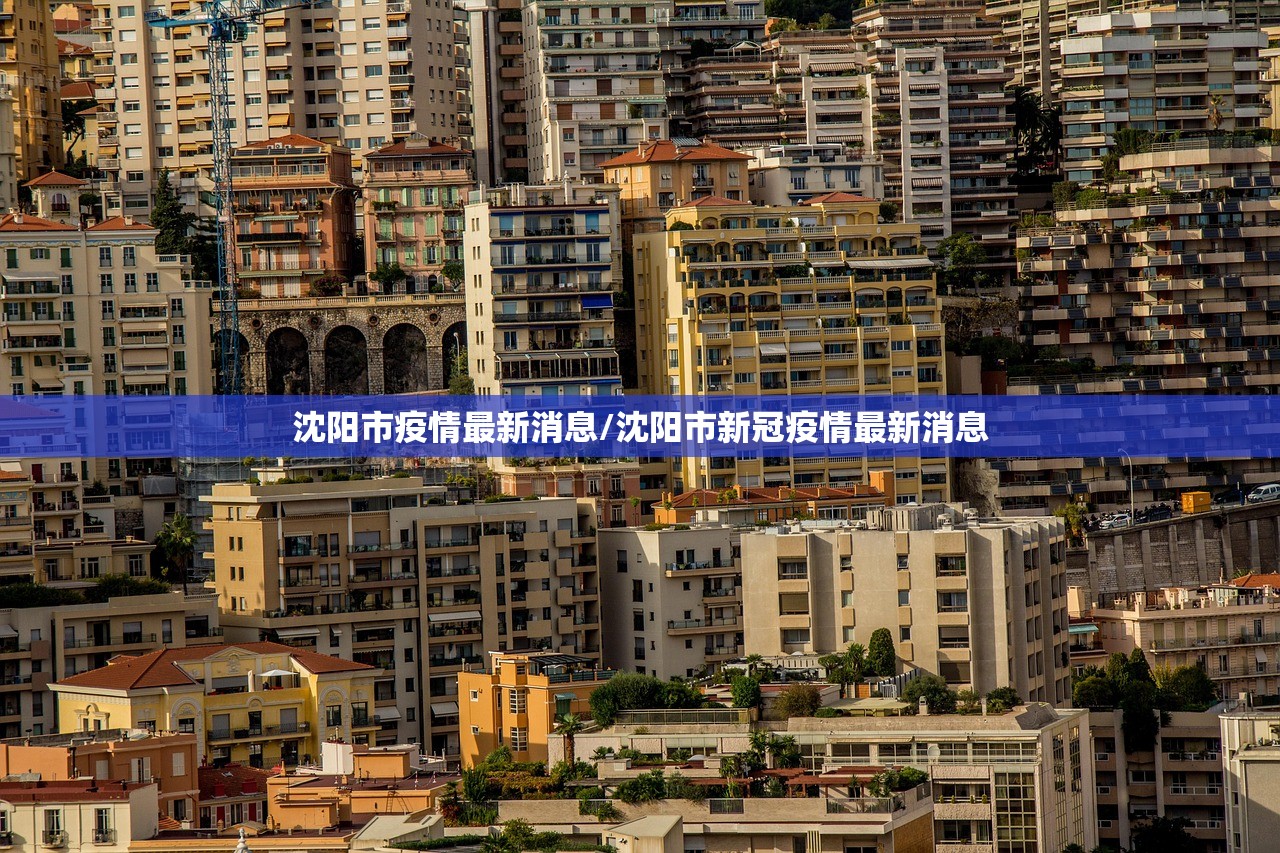 沈阳市疫情最新消息/沈阳市新冠疫情最新消息