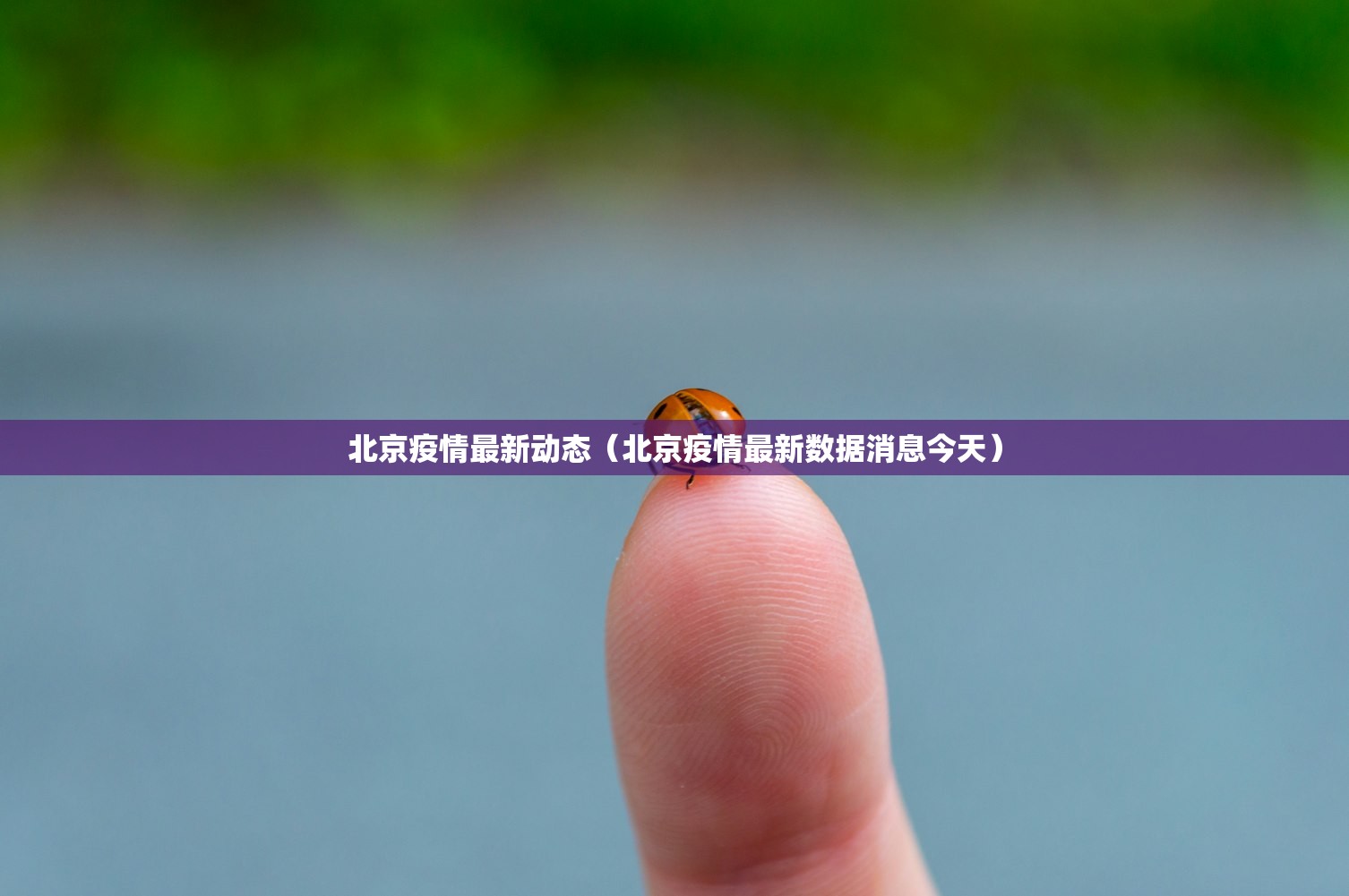 北京疫情最新动态（北京疫情最新数据消息今天）