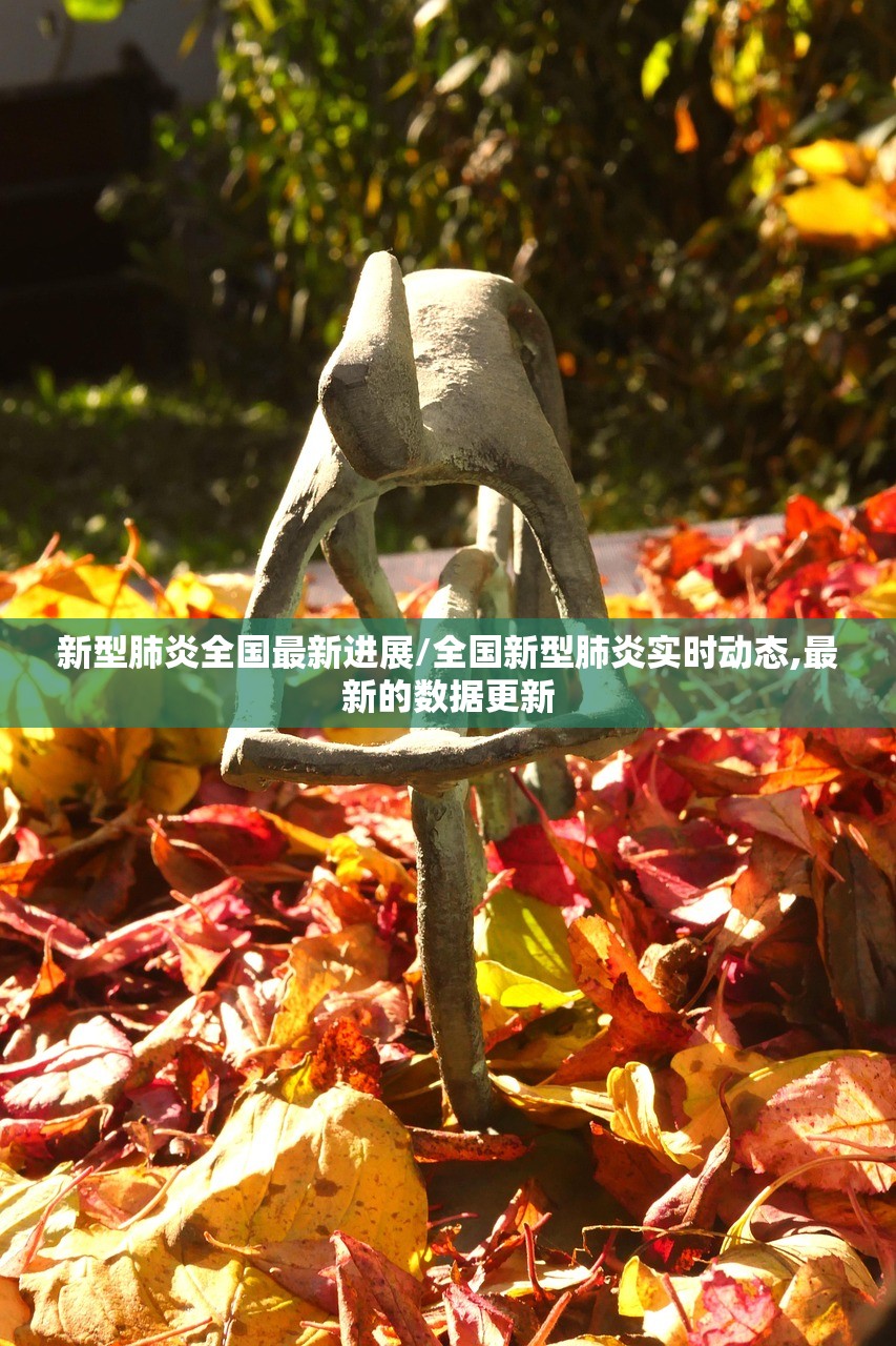 新型肺炎全国最新进展/全国新型肺炎实时动态,最新的数据更新