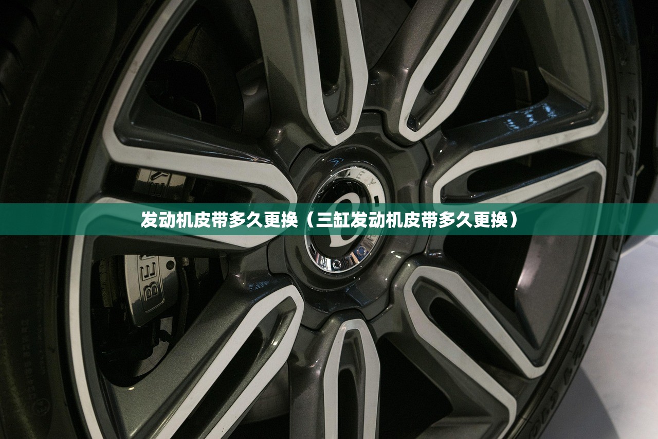 发动机皮带多久更换（三缸发动机皮带多久更换）