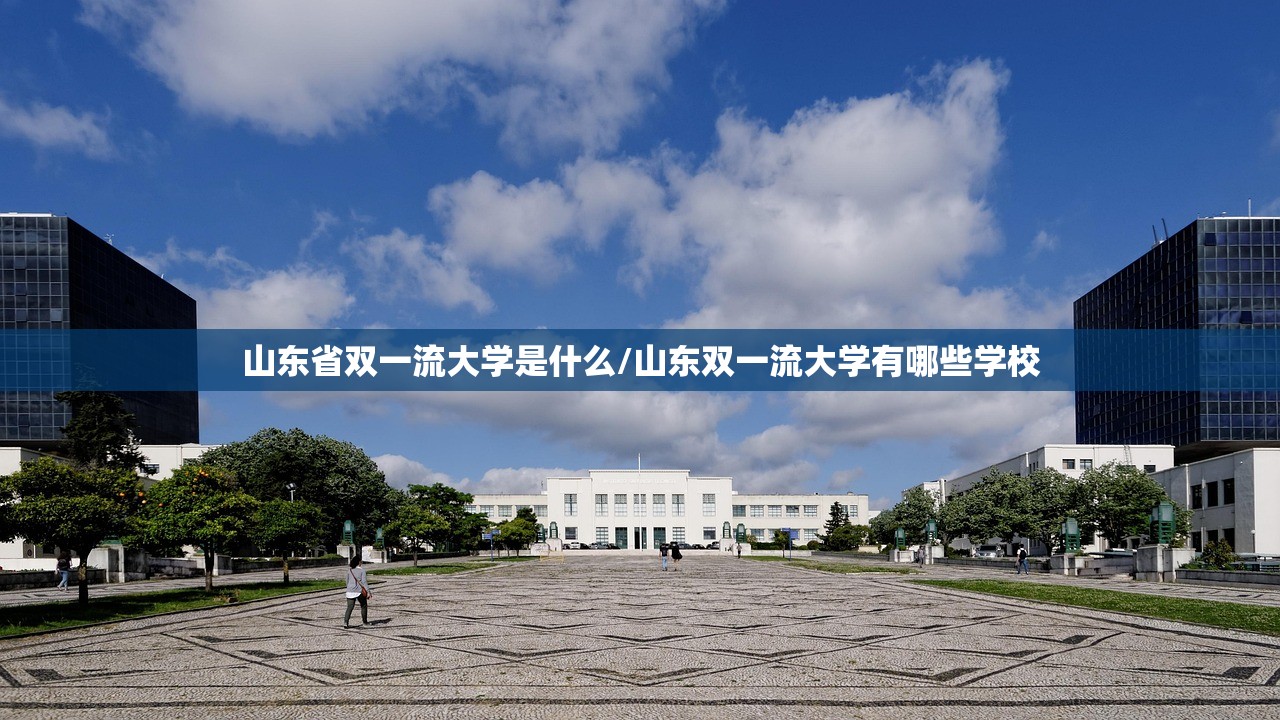 山东省双一流大学是什么/山东双一流大学有哪些学校