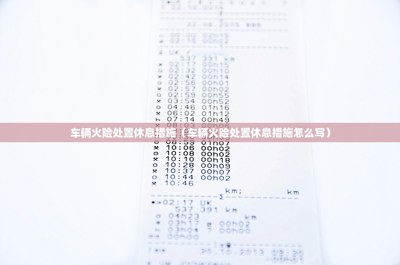 车辆火险处置休息措施（车辆火险处置休息措施怎么写）