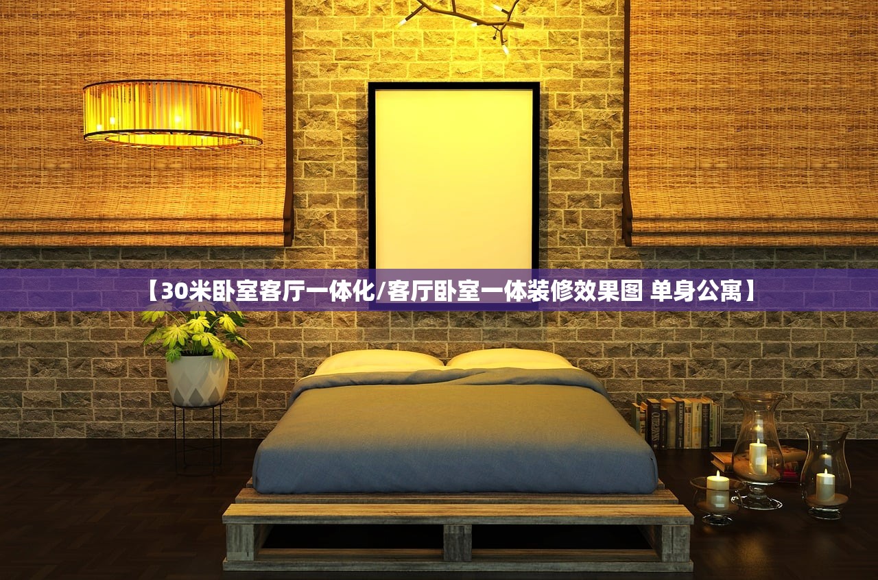【30米卧室客厅一体化/客厅卧室一体装修效果图 单身公寓】