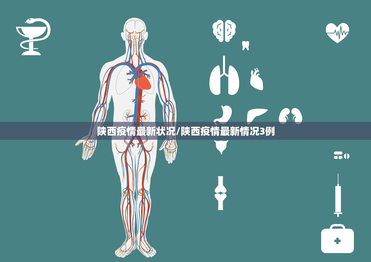 陕西疫情最新状况/陕西疫情最新情况3例