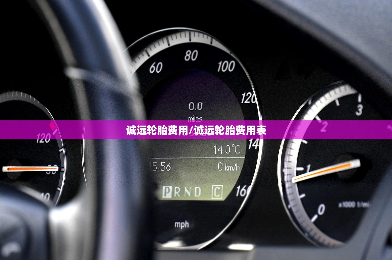 诚远轮胎费用/诚远轮胎费用表