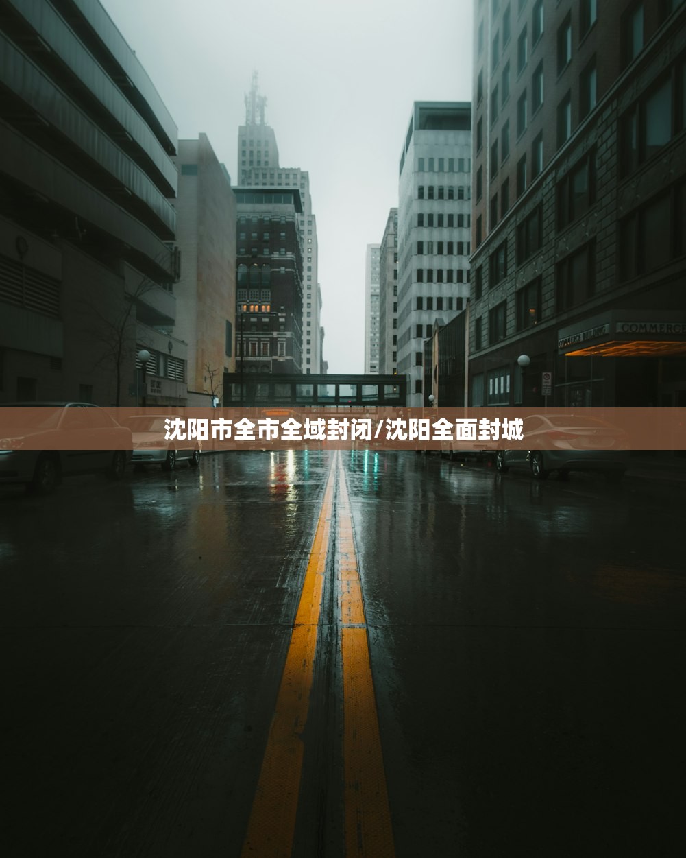 沈阳市全市全域封闭/沈阳全面封城