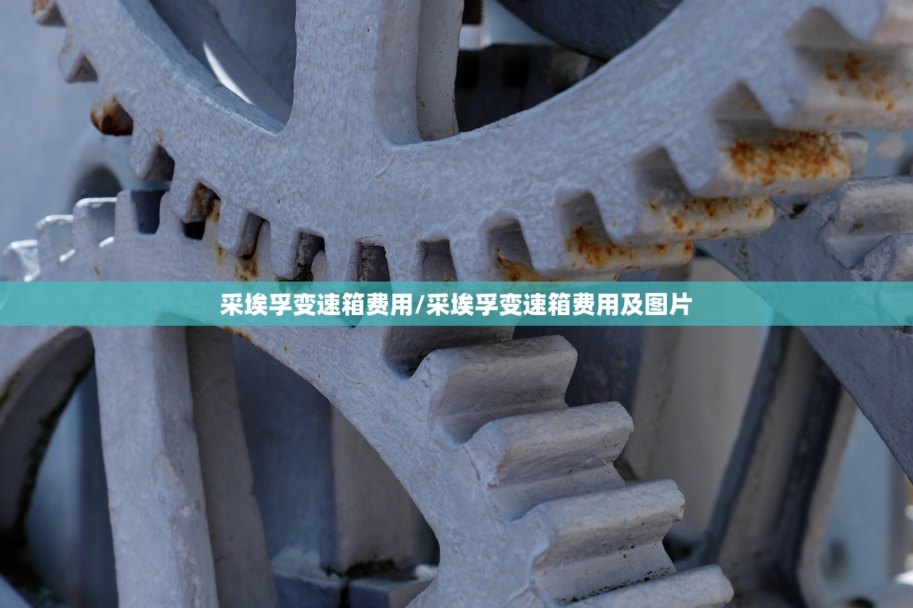 采埃孚变速箱费用/采埃孚变速箱费用及图片