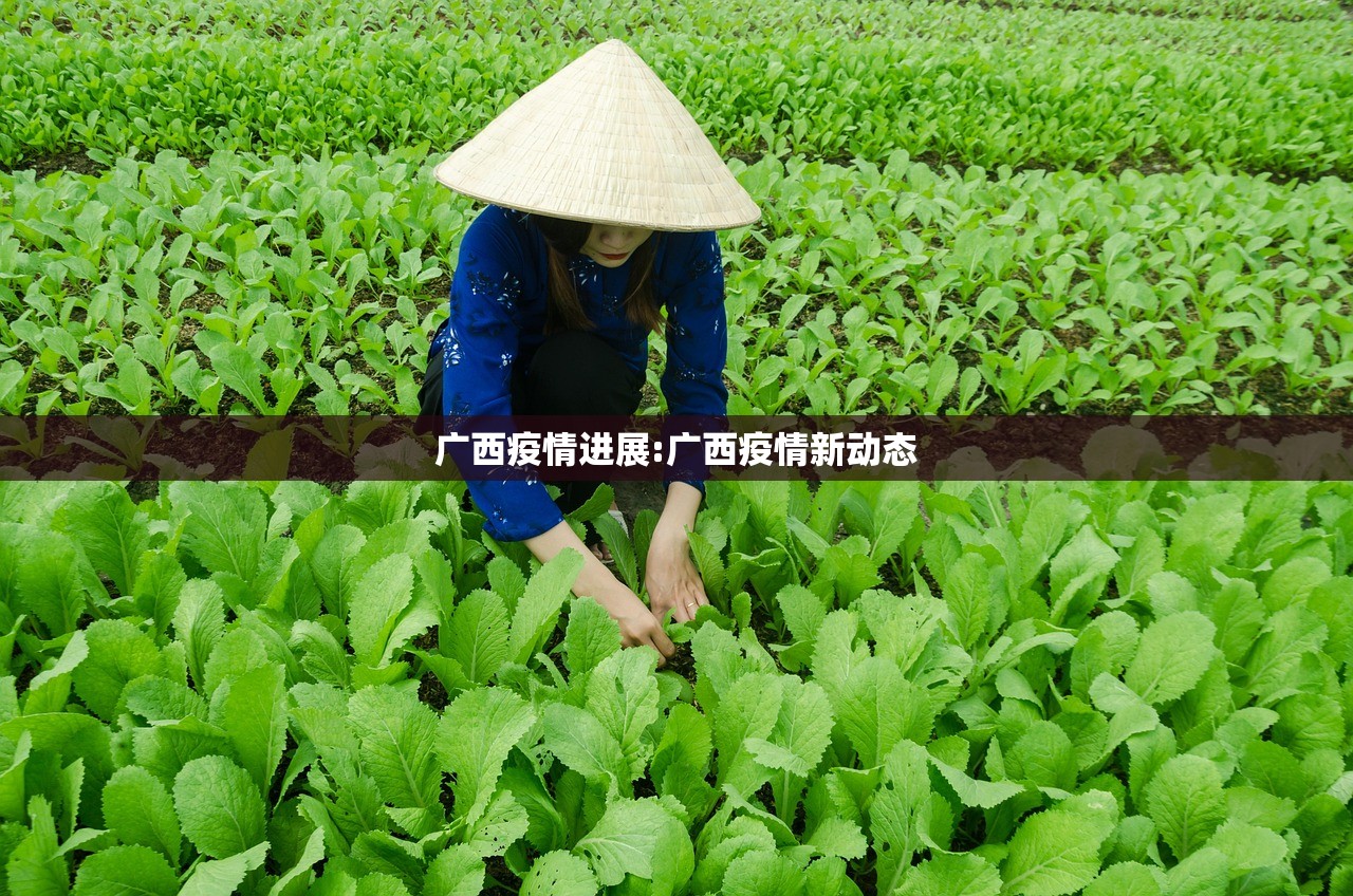 广西疫情进展:广西疫情新动态