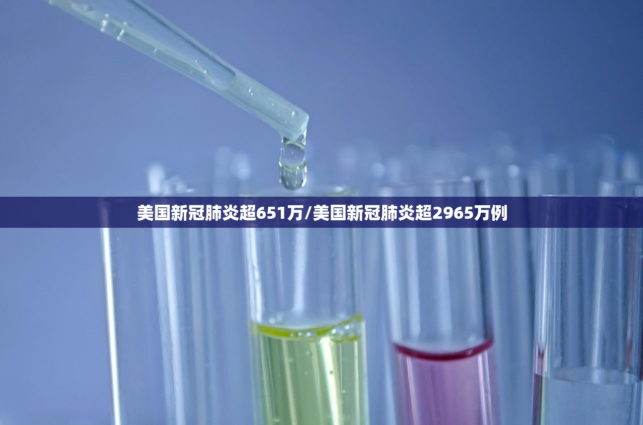 美国新冠肺炎超651万/美国新冠肺炎超2965万例