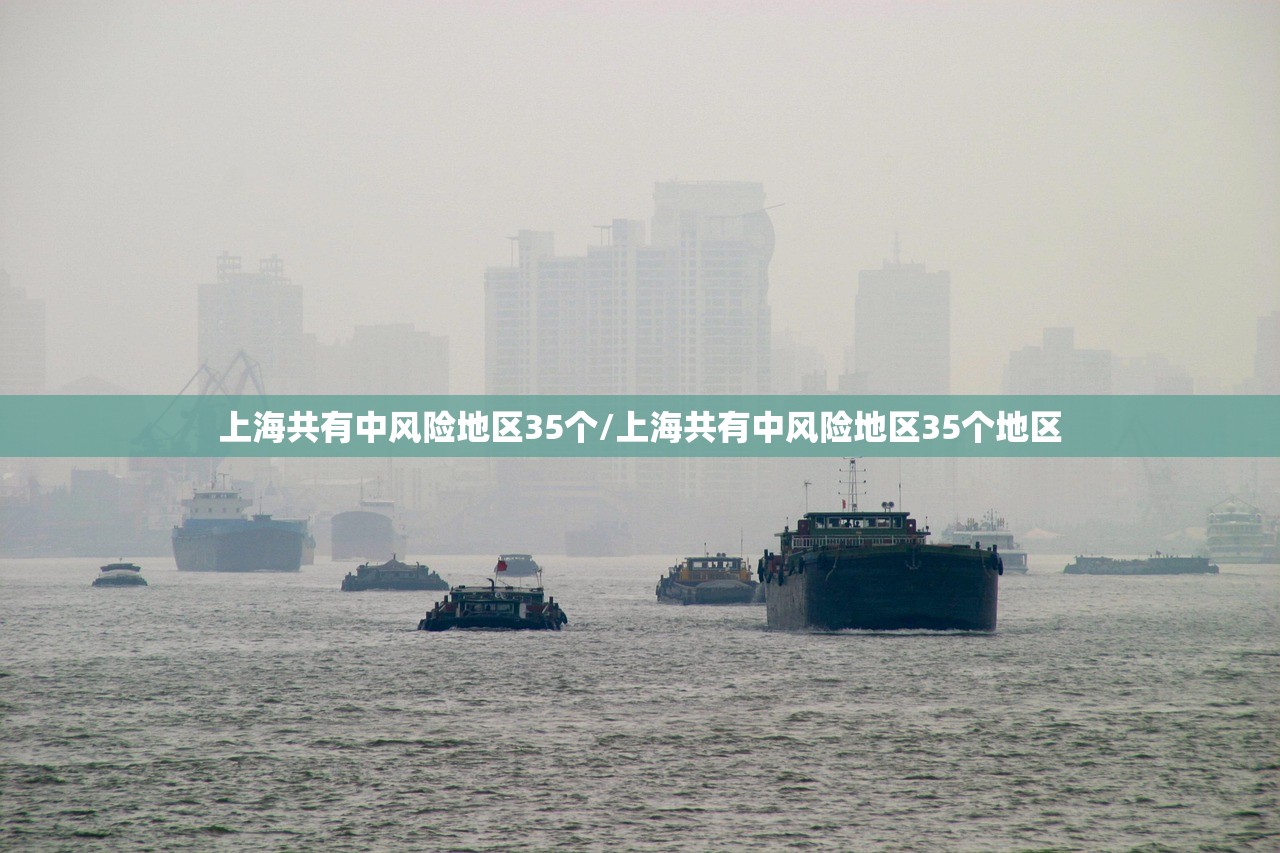 上海共有中风险地区35个/上海共有中风险地区35个地区