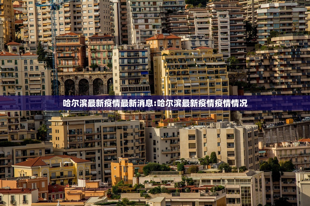 哈尔滨最新疫情最新消息:哈尔滨最新疫情疫情情况