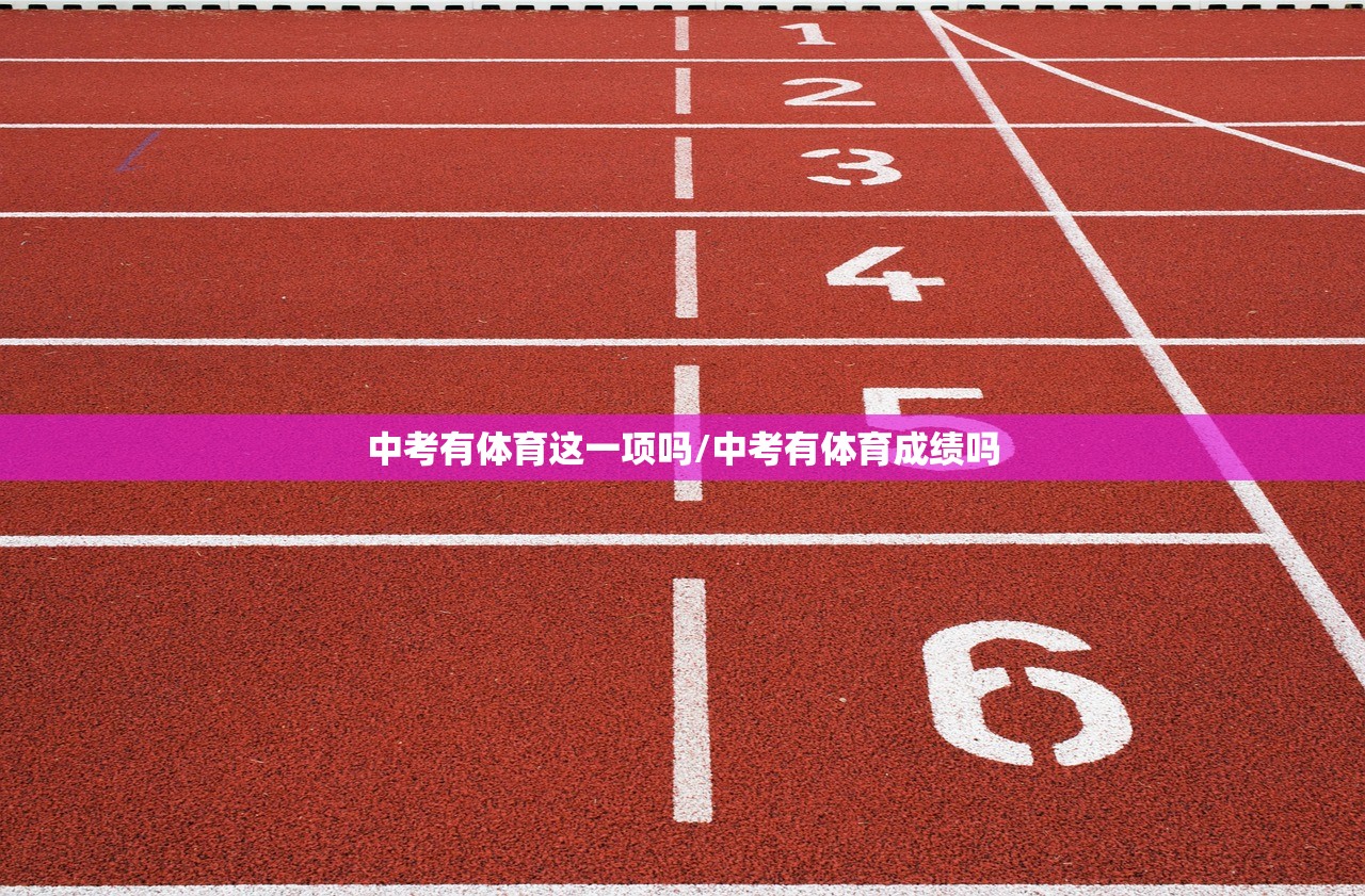 中考有体育这一项吗/中考有体育成绩吗