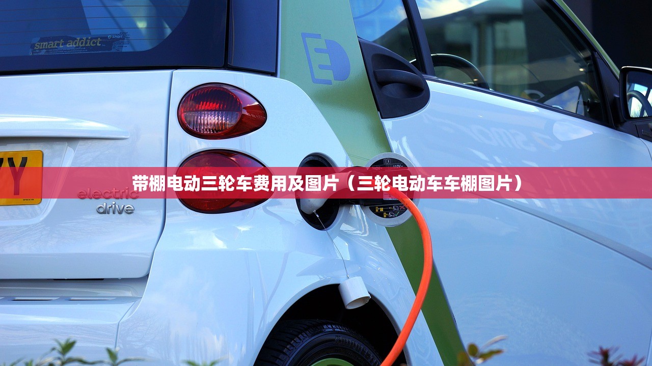 带棚电动三轮车费用及图片（三轮电动车车棚图片）