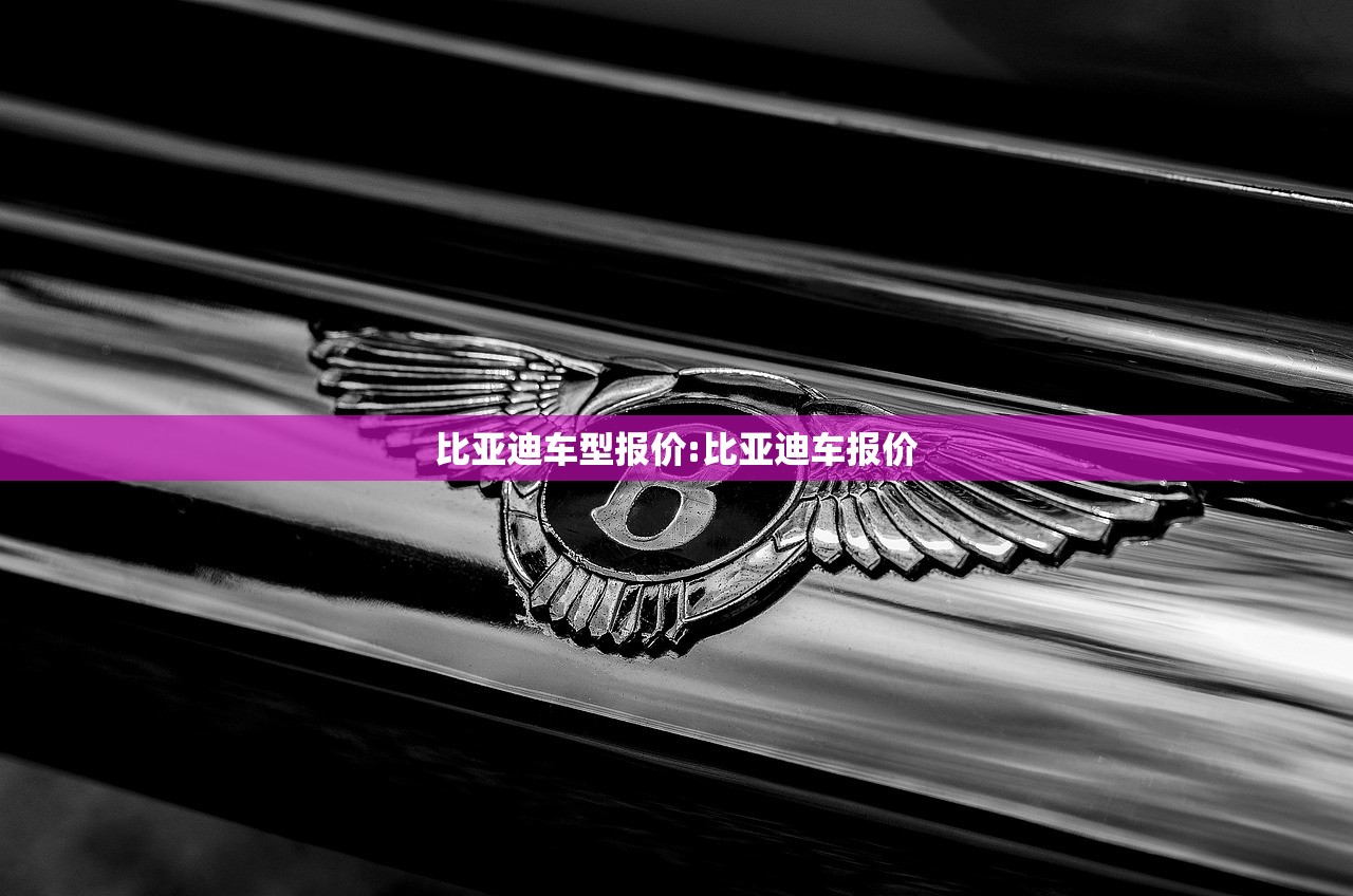比亚迪车型报价:比亚迪车报价