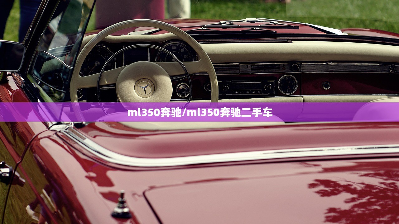ml350奔驰/ml350奔驰二手车