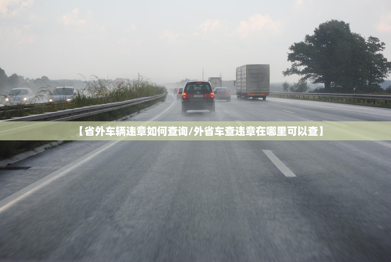 【省外车辆违章如何查询/外省车查违章在哪里可以查】