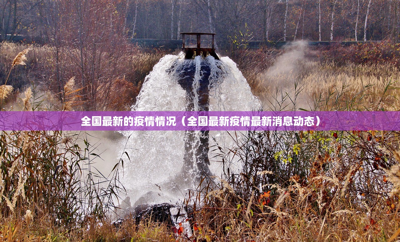 全国最新的疫情情况（全国最新疫情最新消息动态）