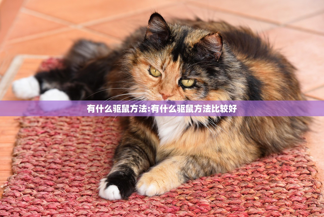 有什么驱鼠方法:有什么驱鼠方法比较好