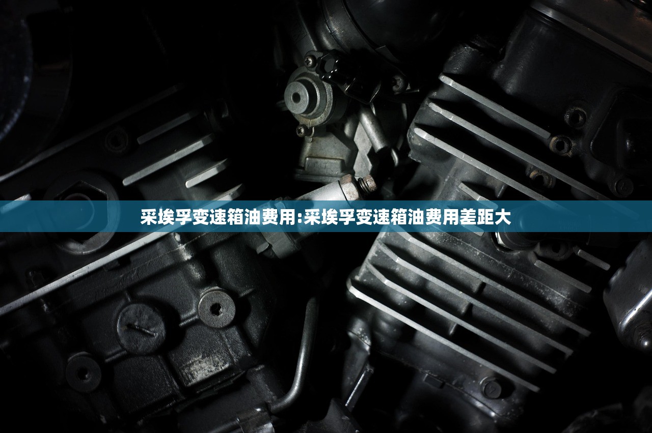 采埃孚变速箱油费用:采埃孚变速箱油费用差距大