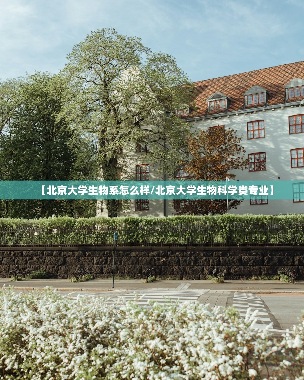 【北京大学生物系怎么样/北京大学生物科学类专业】