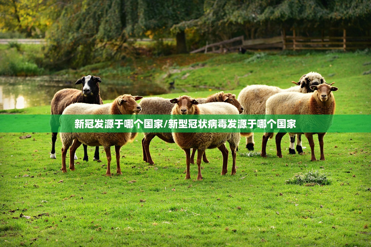 新冠发源于哪个国家/新型冠状病毒发源于哪个国家