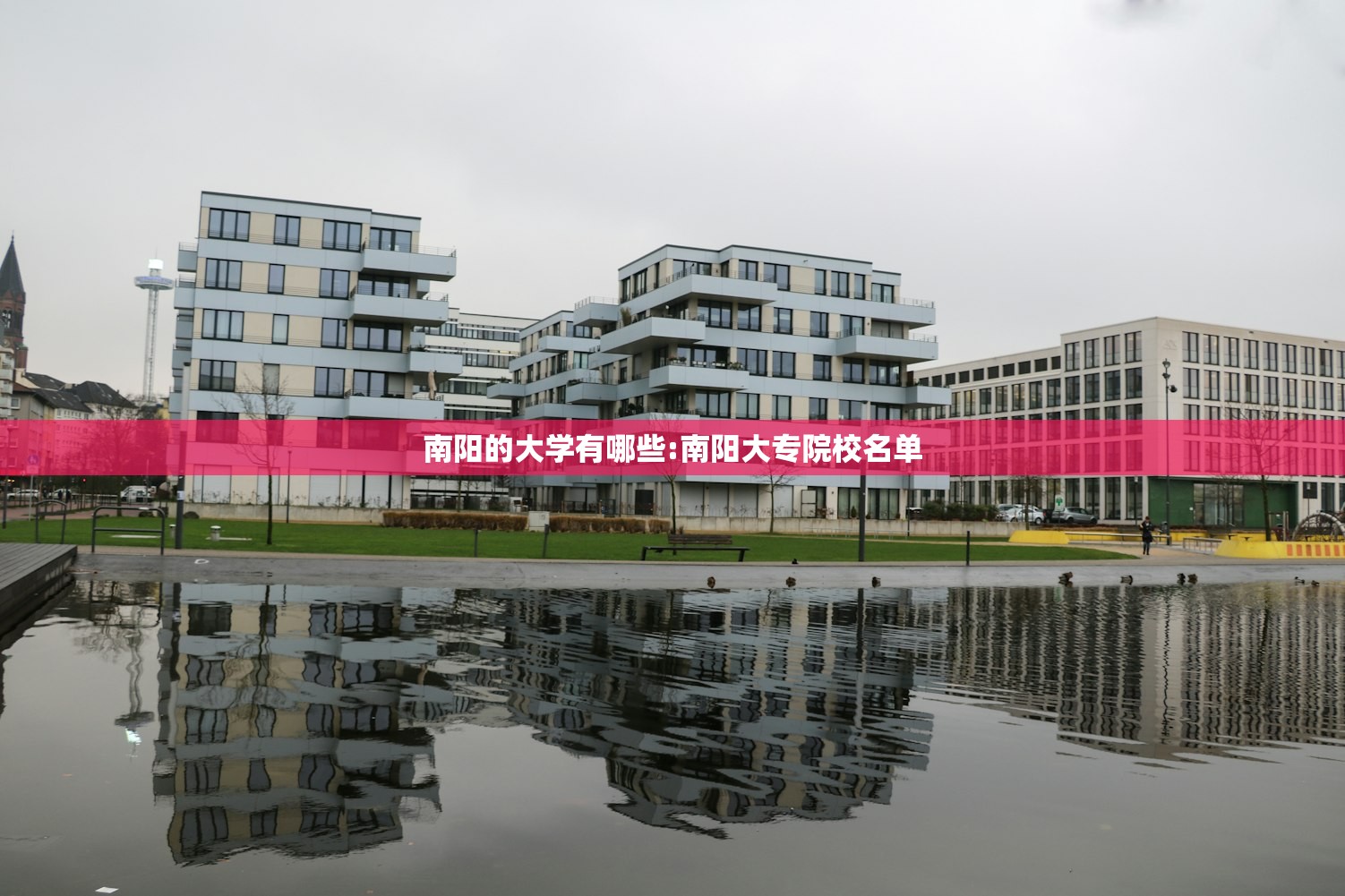南阳的大学有哪些:南阳大专院校名单