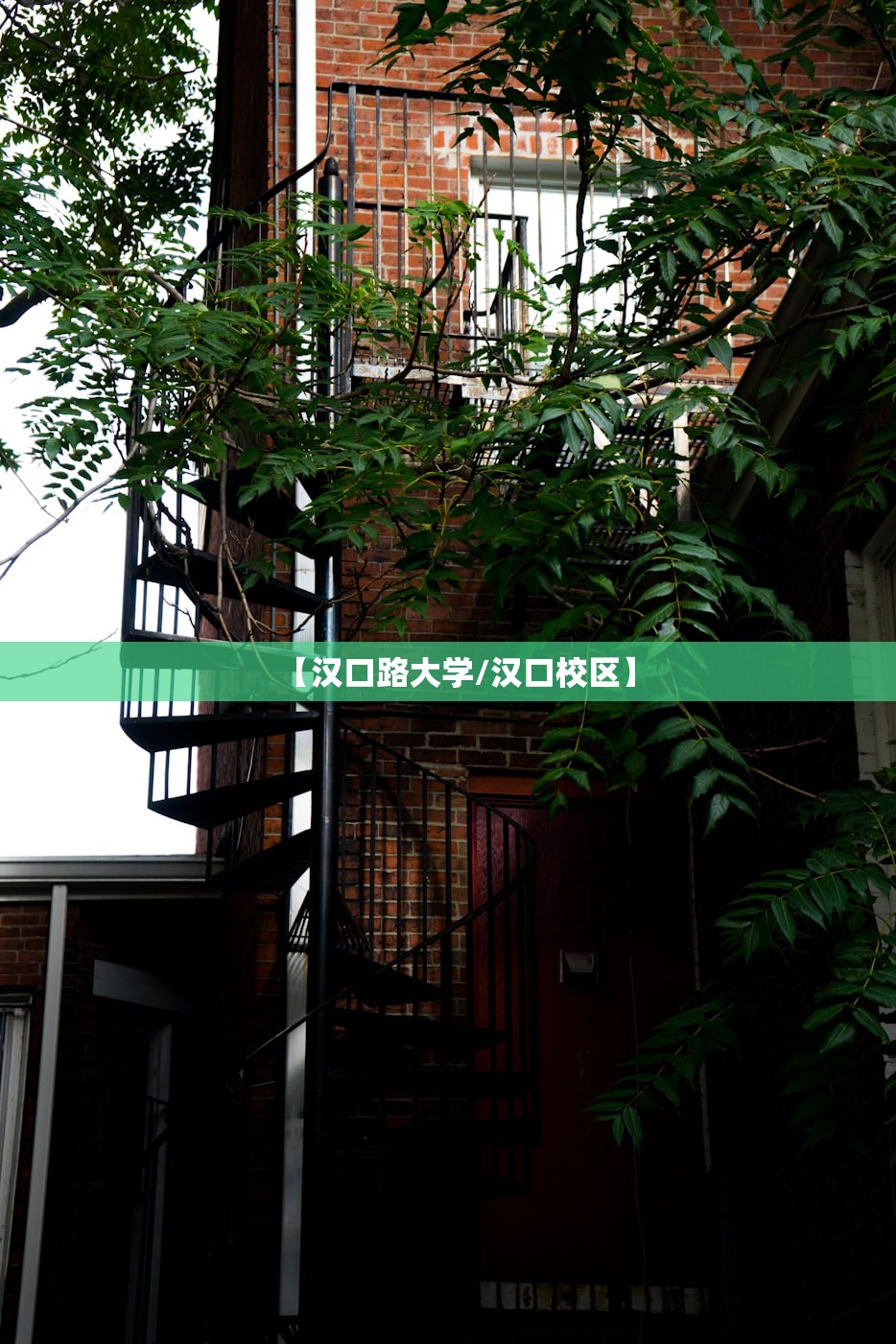 【汉口路大学/汉口校区】 【汉口路大学/汉口校区】