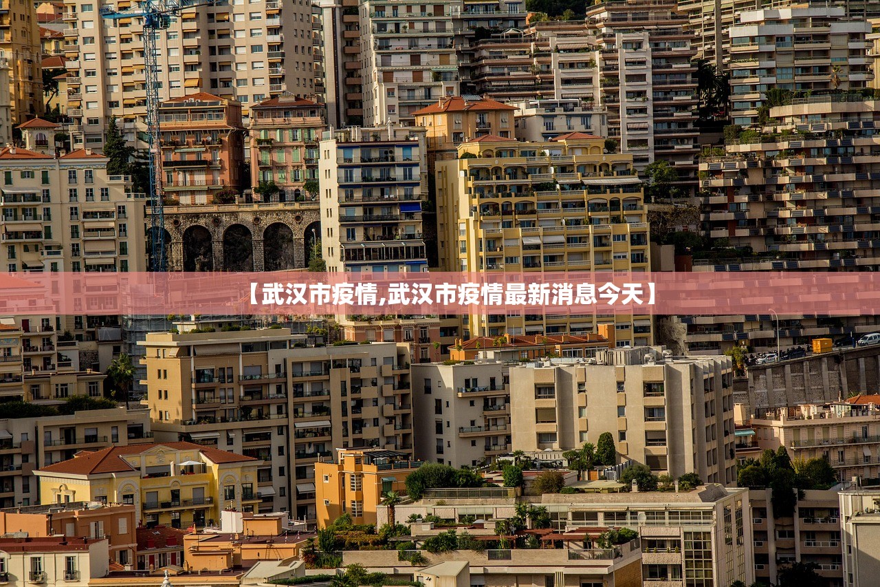 【武汉市疫情,武汉市疫情最新消息今天】