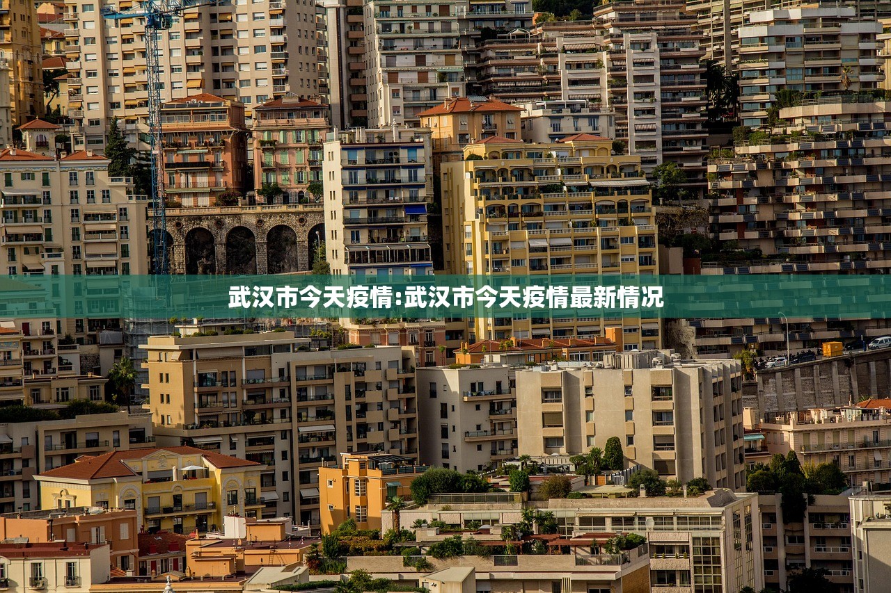 武汉市今天疫情:武汉市今天疫情最新情况